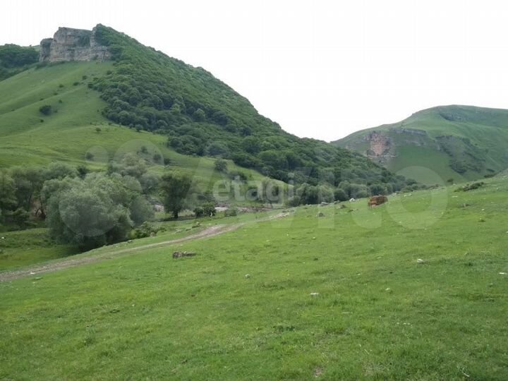 Участок 22 га (СНТ, ДНП)