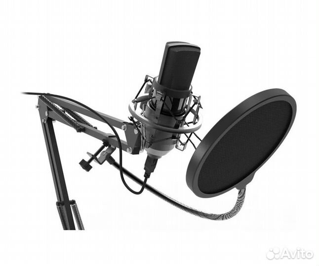 Микрофон Ritmix RDM-169 USB