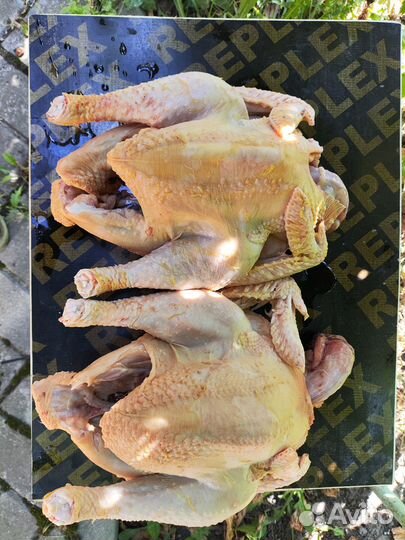 Петушки суповые