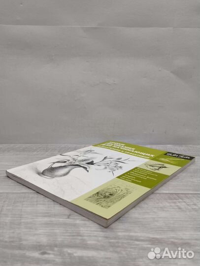 Диана Кардаччи. Уроки рисования для начинающих