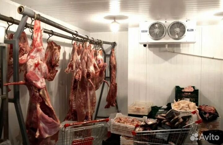 Холодильная мясная камера б/у