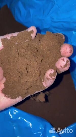 Ваниль молотая натуральная