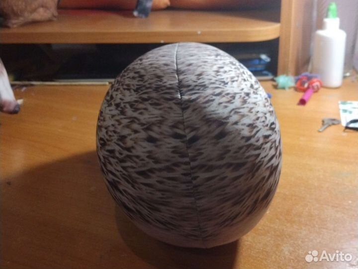 Два хренобуса братва