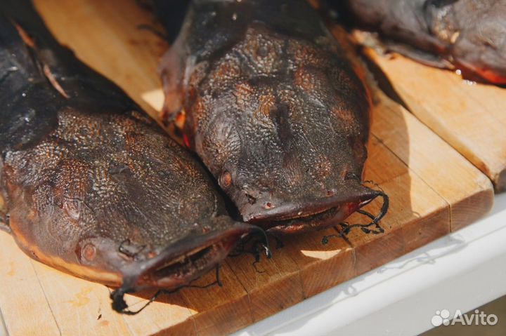 Рыба Сом клариевый оптом