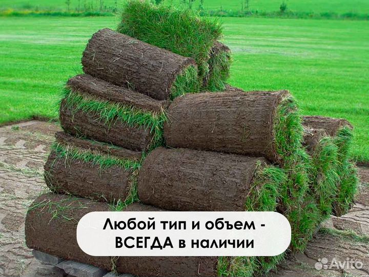 Рулонный газон натуральный