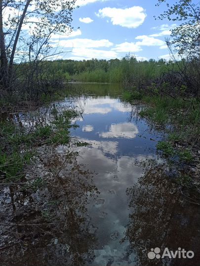 Прогулки на сапборде по реке Иртыш