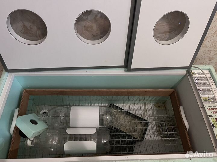 Инкубатор для яиц матрица 