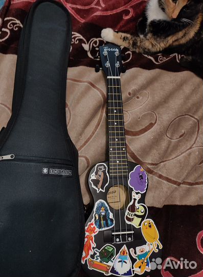 Укулеле концерт tennis