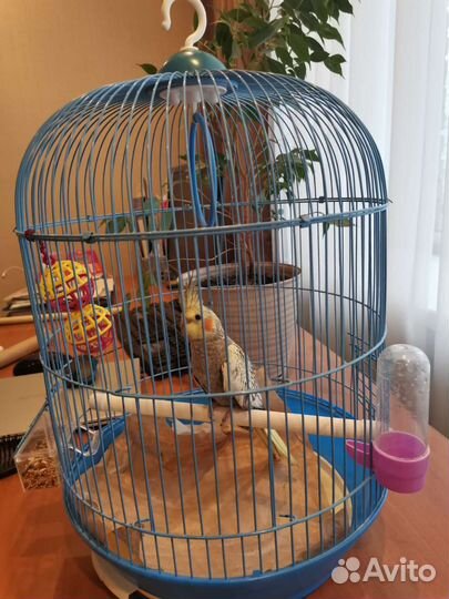 Клетка для птиц