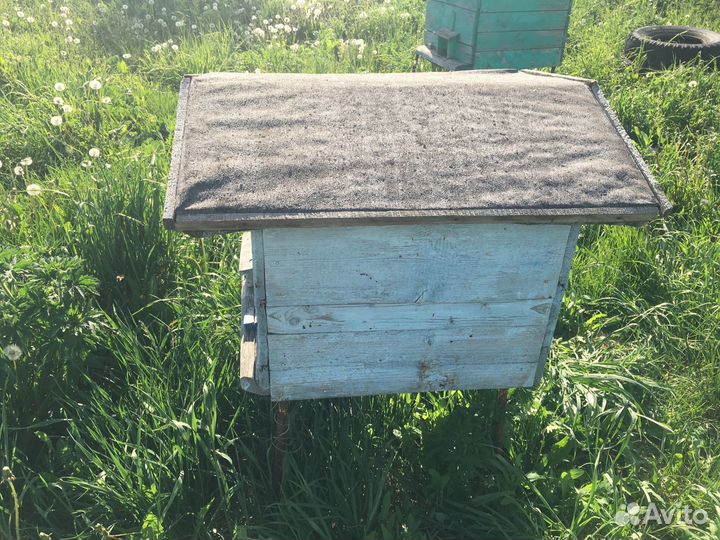 Пчелосемьи с ульями