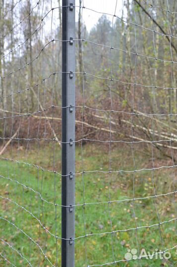 Сетка шарнирная (дфл) от производителя