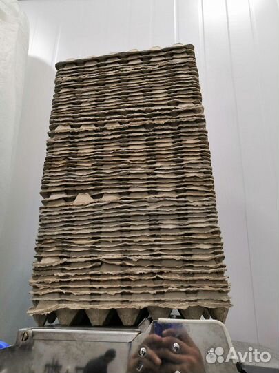 Лотки для яиц