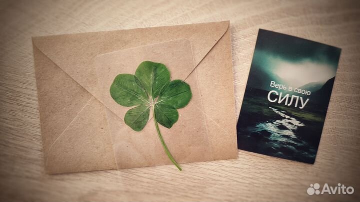 Клевер пятилистный