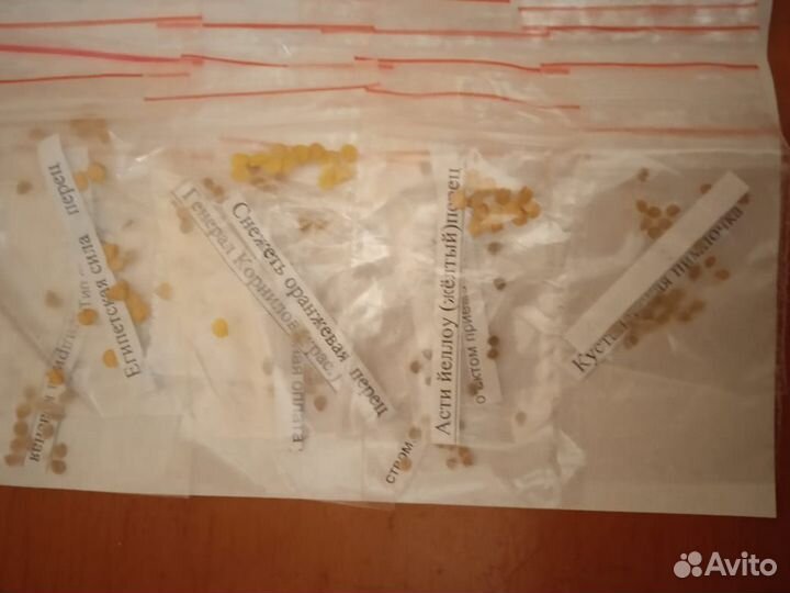 Семена коллекционных томатов