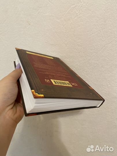 Книга коты воители