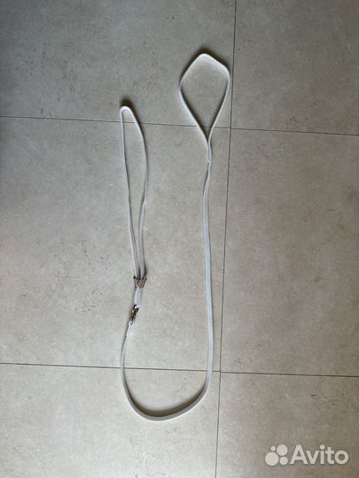 Ринговка для собак