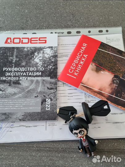 Квадроцикл aodes