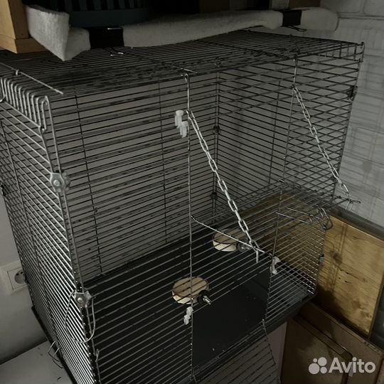 Набор для крыс