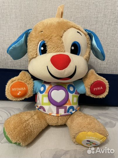 Ученый щенок