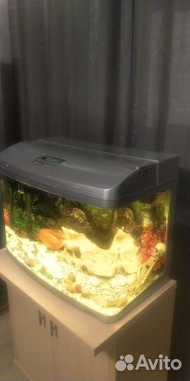 Аквариум jebo r375