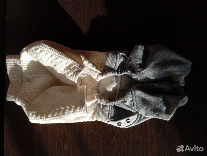 Одежда для собак