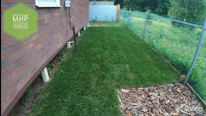 Рулонный газон