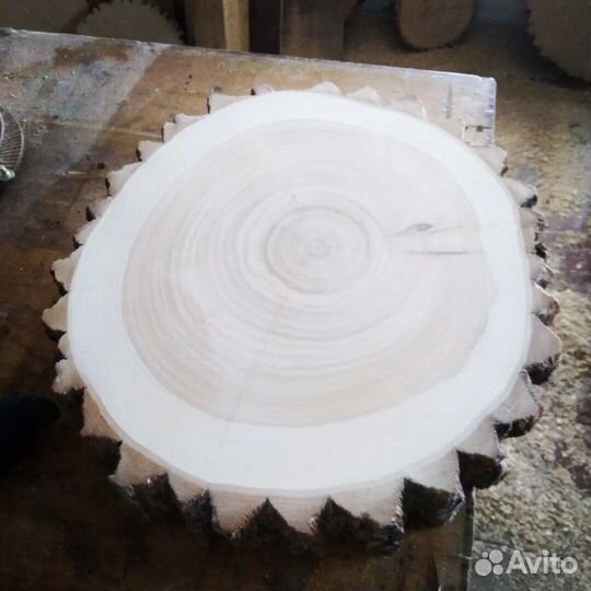 Спилы деревьев торцевые