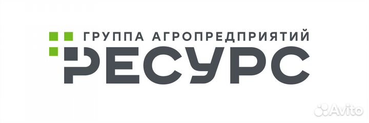 Транспортерщик