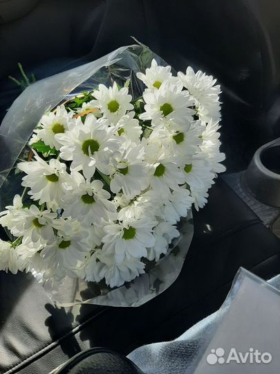 Хризантемы ромашки Сургут доставка