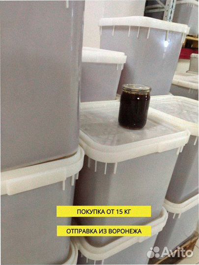 Мед оптом для успеха вашего бизнеса