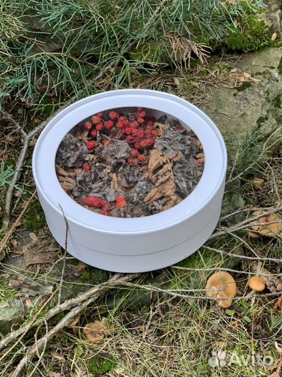 Осенняя композиция