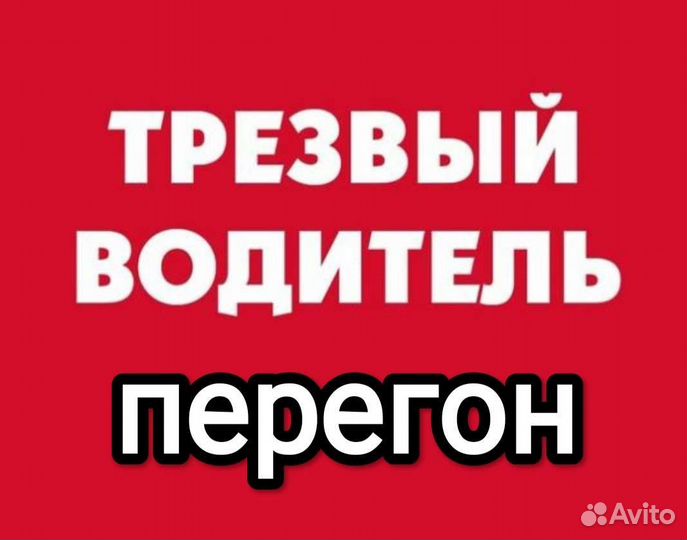 Перегон. Трезвый водитель