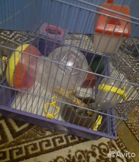 Клетка для грызунов