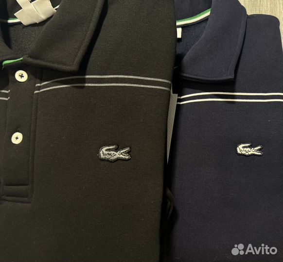 Кофта lacoste new collection