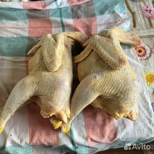 Мясо домашних петушков