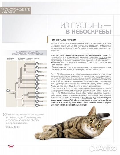 Энциклопедия Royal Canin кошки