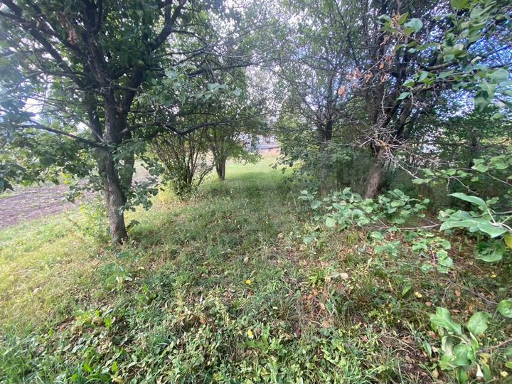 Дом 56 м² на участке 19 сот.