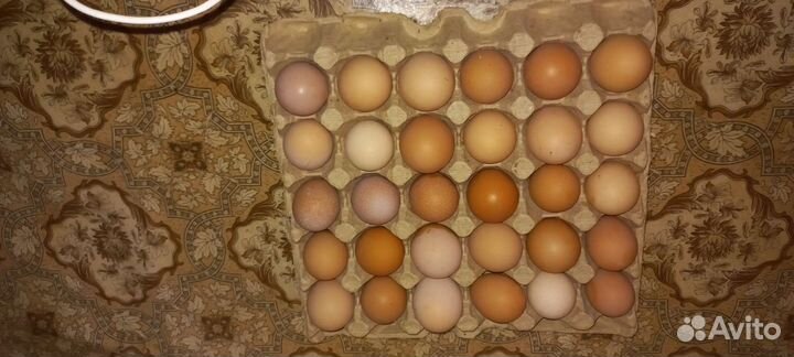 Домашние куриные яйца, диетические