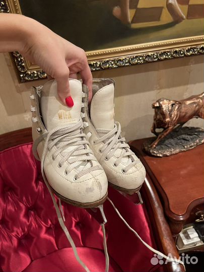 Коньки Wifa 28 ll