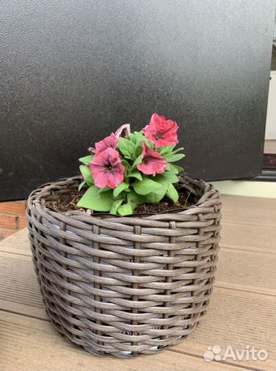 Кашпо для цветов