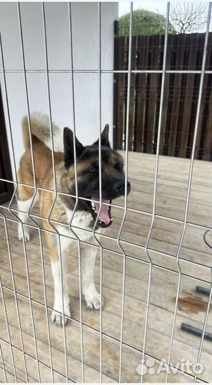 Тротуарная плитка ГОСТ