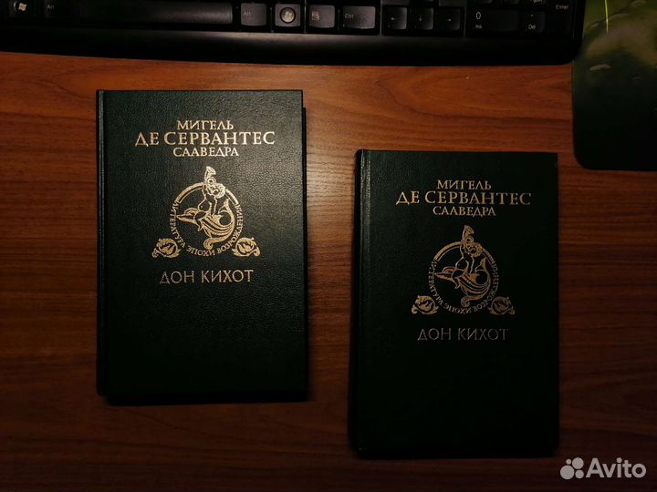 Дон Кихот (2 части)