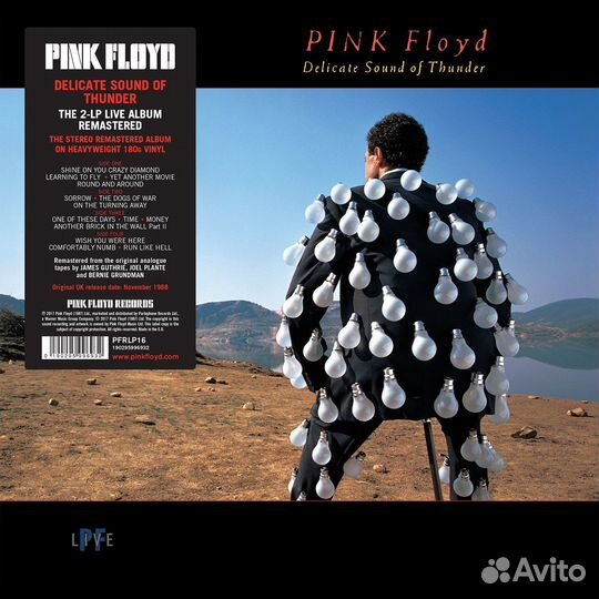 Pink Floyd - Delicate Sound Of Thunder: Live (rema