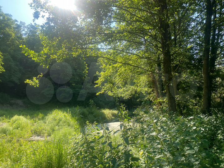 Участок 1,42 га (ИЖС)