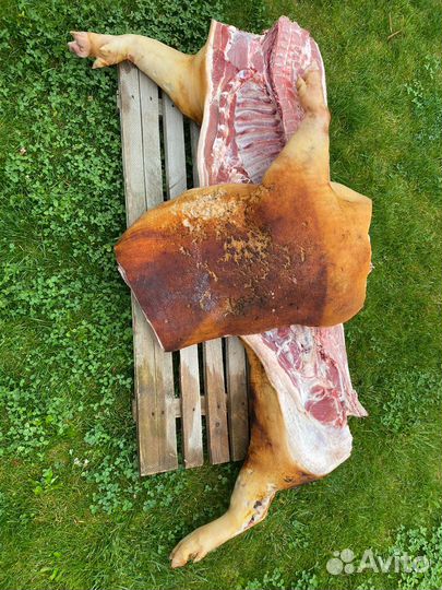 Полутуша свинины фермерское мясо
