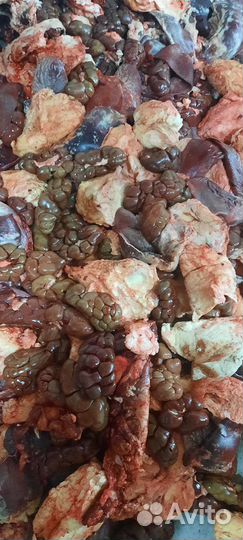 Корм для собак