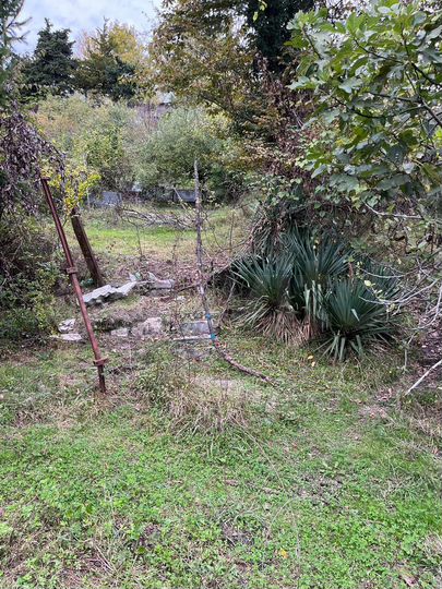 Участок 11,5 сот. (ИЖС)