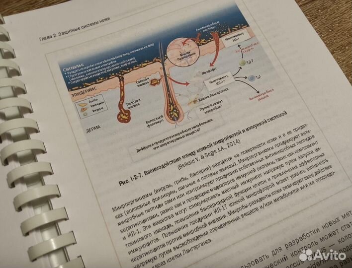 Новая косметология Е. И. Эрнандес