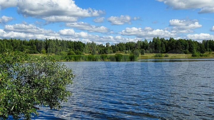 Участок 14,5 сот. (ИЖС)