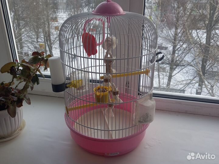 Клетка для попугая